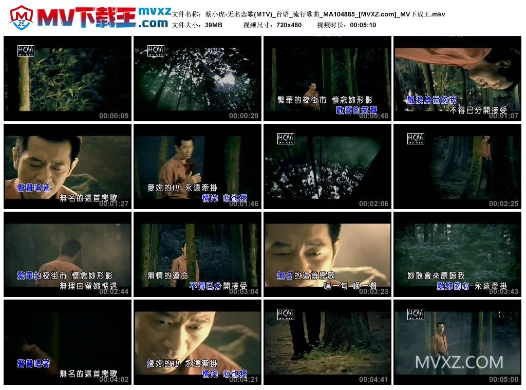 蔡小虎-无名恋歌(MTV)_台语_流行歌曲_MA104885